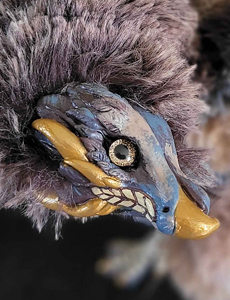 Brown Cockatrice
